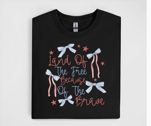 Land Of The Free Because Of The Brave Tee